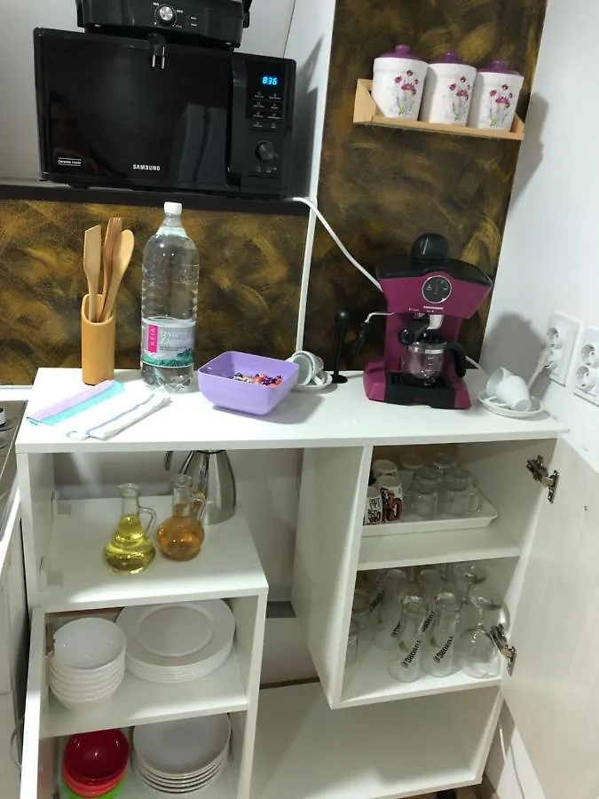 Serban Home Arenele Romane Marius Nasta Bucarest Appartamento