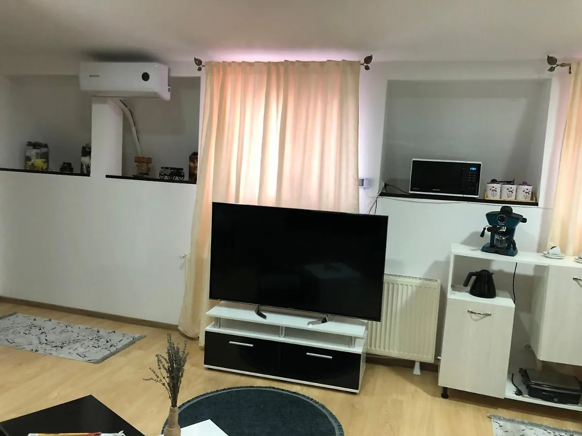 Serban Home Arenele Romane Marius Nasta Bucarest