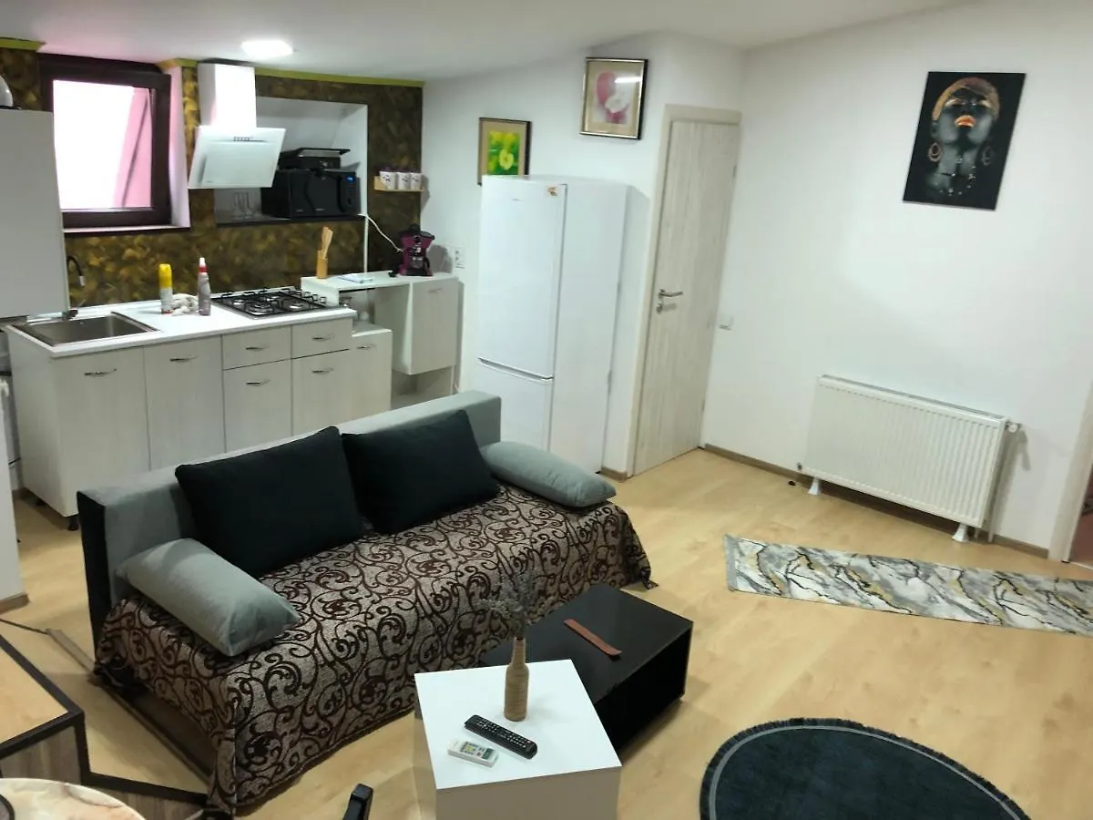 Serban Home Arenele Romane Marius Nasta Bucarest