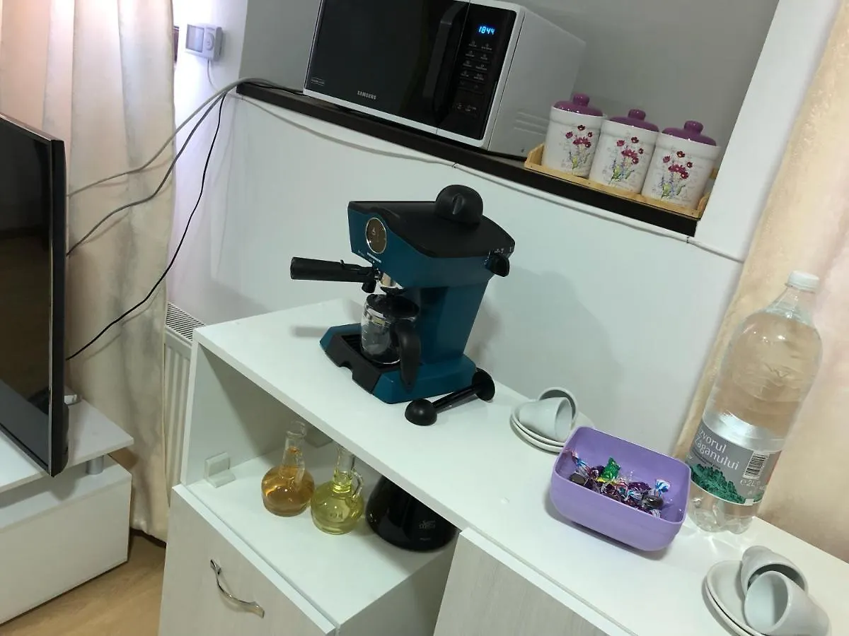Apartamento Serban Home Arenele Romane Marius Nasta Bucarest