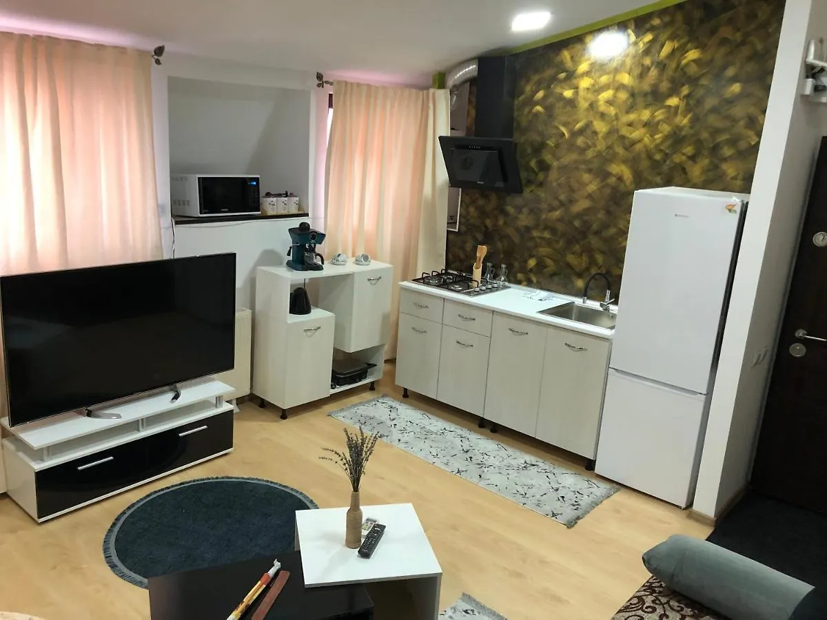 Serban Home Arenele Romane Marius Nasta Bucarest Apartamento